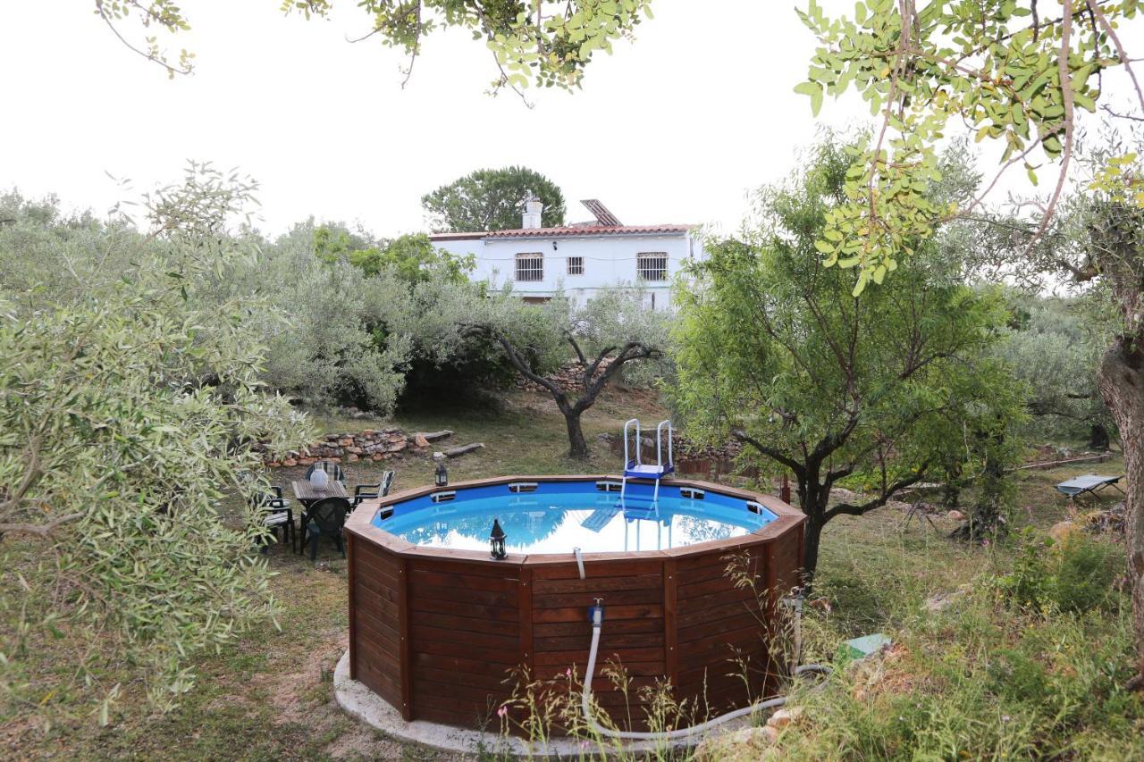 Yurta Mongola Delta Del Ebro Hotel Camarles Екстериор снимка