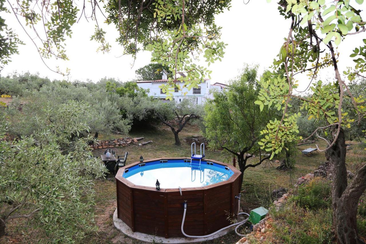Yurta Mongola Delta Del Ebro Hotel Camarles Екстериор снимка