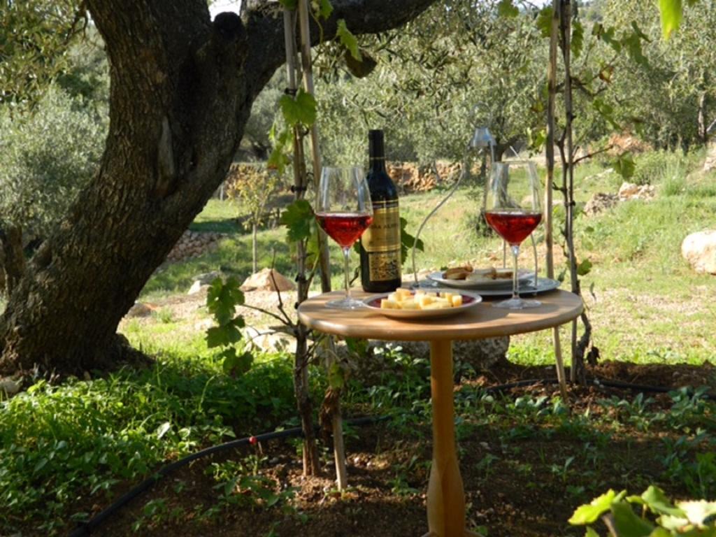 Yurta Mongola Delta Del Ebro Hotel Camarles Екстериор снимка