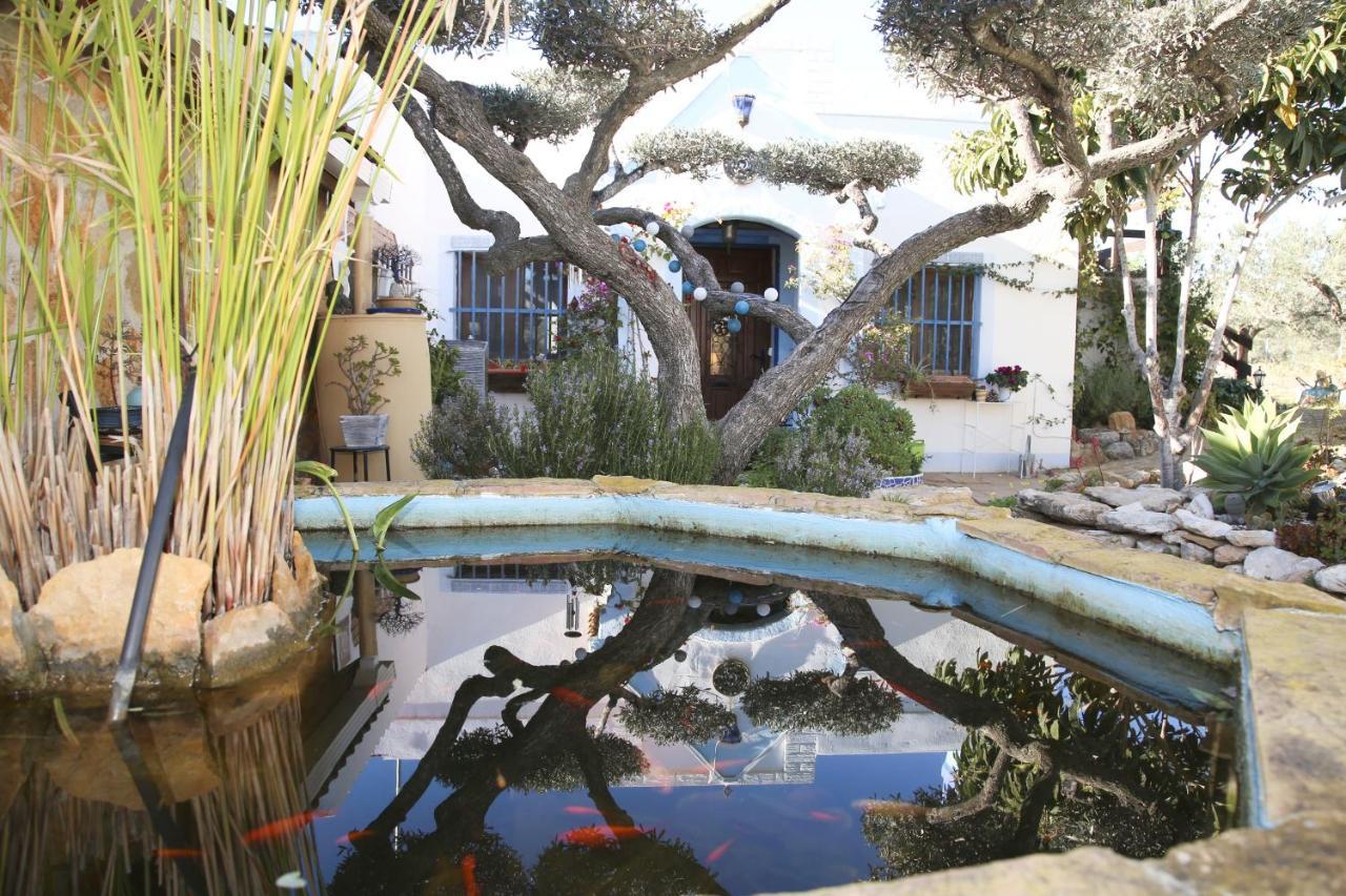 Yurta Mongola Delta Del Ebro Hotel Camarles Екстериор снимка