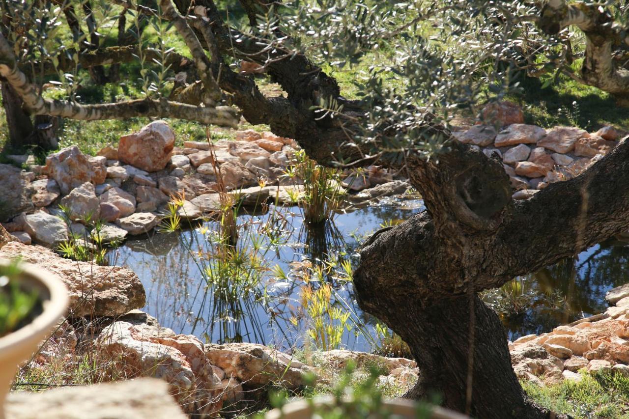 Yurta Mongola Delta Del Ebro Hotel Camarles Екстериор снимка